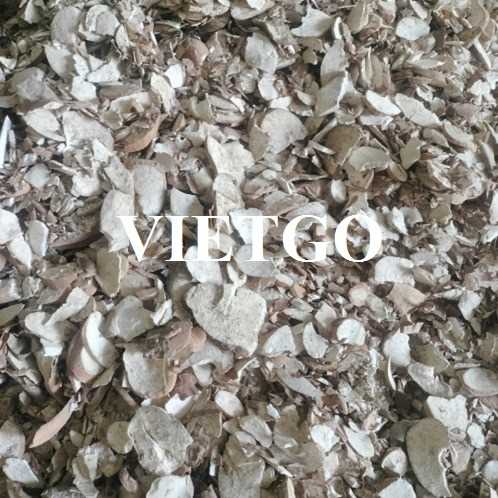 Cơ hội hợp tác xuất khẩu sắn lát sang thị trường Trung Quốc