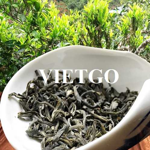 Thương vụ xuất khẩu chè khô sang thị trường Israel