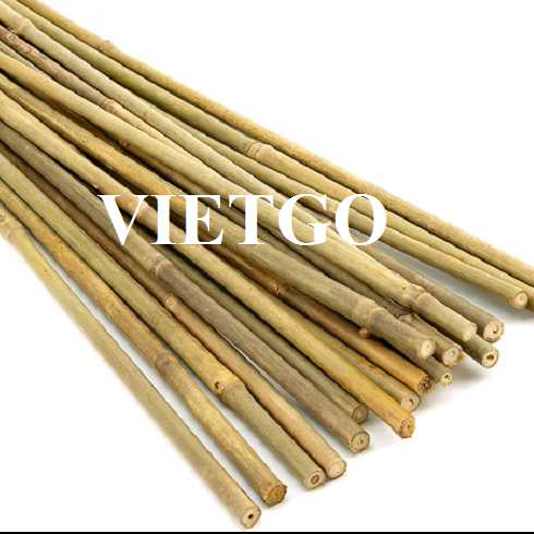 Đối tác đến từ Úc đang tìm kiếm nhà cung cấp sản phẩm gậy tre