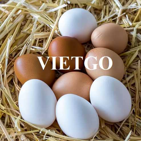 Cơ hội hợp tác xuất khẩu trứng sang thị trường Hoa Kỳ