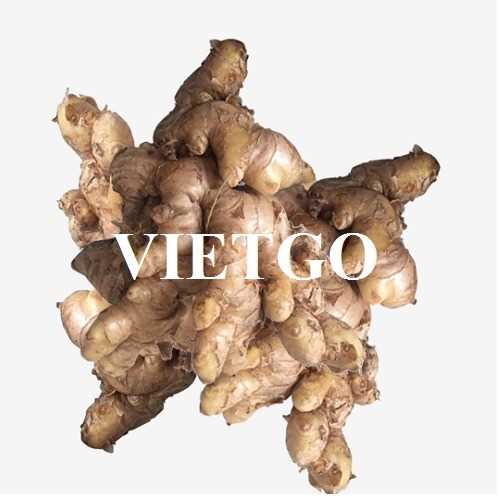 Cơ hội hợp tác xuất khẩu sản phẩm gừng đến thị trường Iran