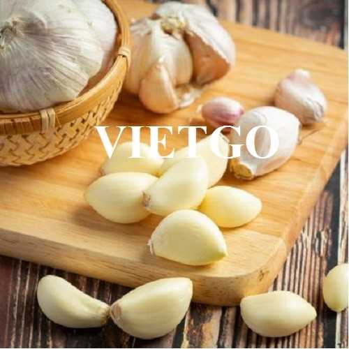 Thương vụ hợp tác xuất khẩu tỏi trắng sang thị trường Campuchia