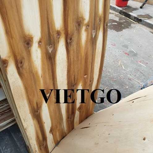 Thương vụ xuất khẩu ván bóc sang thị trường Ấn Độ