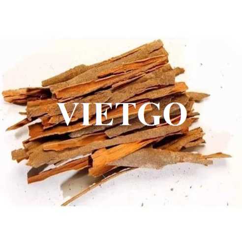 Cơ hội hợp tác xuất khẩu sản phẩm quế sang thị trường Somalia