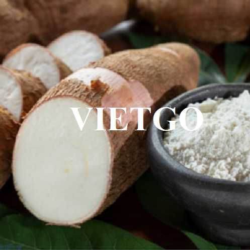 Cơ hội hợp tác xuất khẩu tinh bột sắn sang thị trường Trung Quốc 
