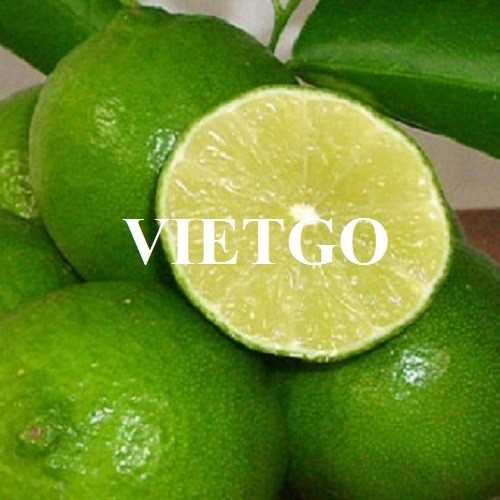 Cơ hội hợp tác xuất khẩu chanh xanh cùng vị khách hàng đến từ Mỹ