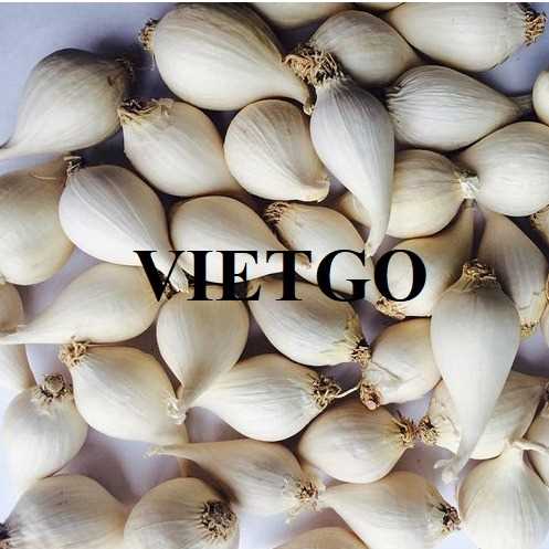 Cơ hội hợp tác xuất khẩu tỏi đến thị trường Bangladesh