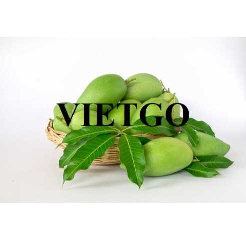 Cơ hội xuất khẩu xoài tươi đến từ vị khách hàng người Indonesia