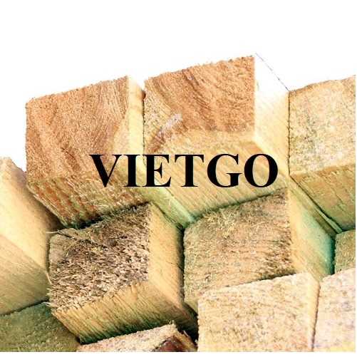 Cơ hội xuất khẩu gỗ thông xẻ sang thị trường Ba Lan 