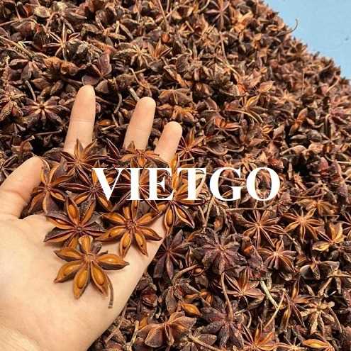 Cơ hội hợp tác xuất khẩu hoa hồi sang thị trường Ấn Độ