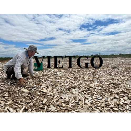 Thương vụ xuất khẩu sắn lát đến từ vị khách hàng người Trung Quốc 