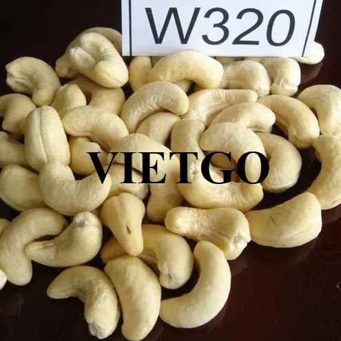 Thương vụ hợp tác xuất khẩu hạt điều sang thị trường Ấn Độ