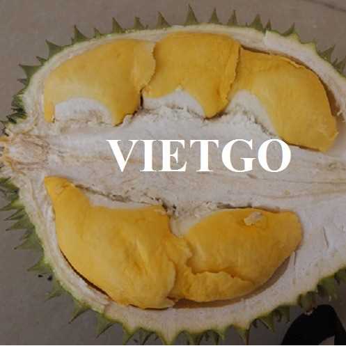 Thương vụ xuất khẩu sầu riêng sang thị trường Trung Quốc