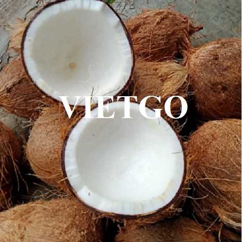 Cơ hội xuất khẩu dừa khô sang thị trường Bahrain
