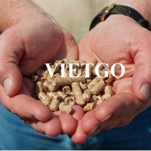 Cơ hội xuất khẩu viên nén mùn cưa sang thị trường Chile