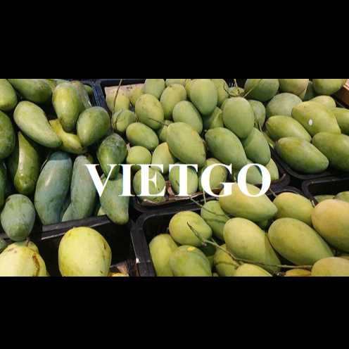 Cơ hội giao thương xuất khẩu xoài sang thị trường Malaysia