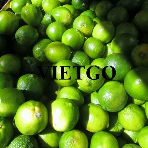 Cơ hội xuất khẩu chanh đến thị trường Trung Quốc