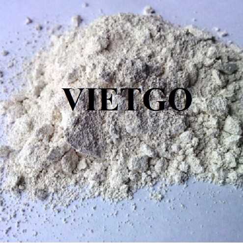 Cơ hội hợp tác xuất khẩu xi măng cùng vị khách hàng người Ý