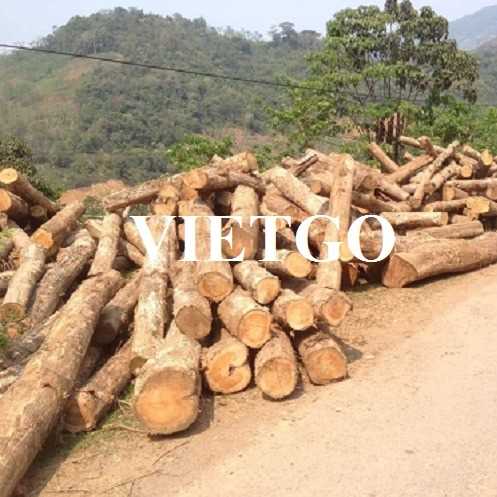Thương vụ xuất khẩu sản phẩm gỗ teak tròn đến thị trường Ấn Độ