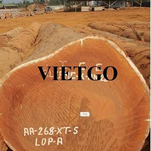 Thương vụ xuất khẩu gỗ lim tròn sang thị trường Bangladesh