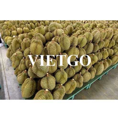 Thương vụ xuất khẩu sầu riêng sang thị trường Trung Quốc