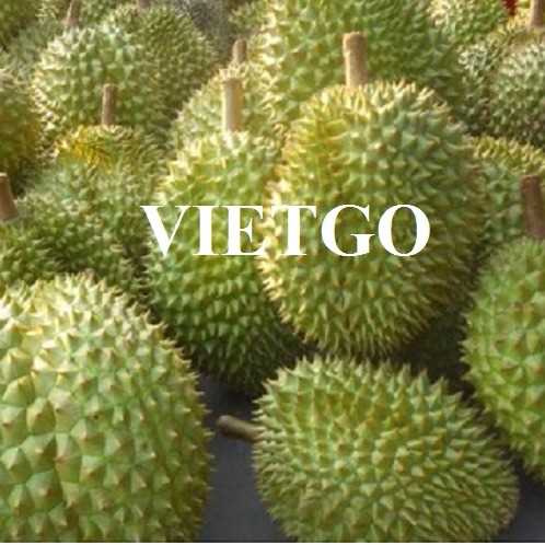 Cơ hội hợp tác xuất khẩu sầu riêng sang thị trường Trung Quốc