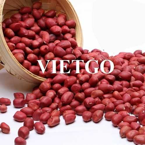 Thương vụ xuất khẩu số lượng lớn lạc nhân sang thị trường Iraq và Thổ Nhĩ Kỳ