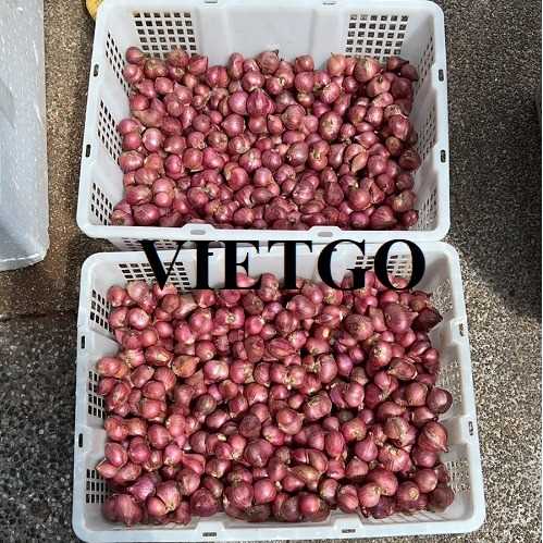 Cơ hội hợp tác xuất khẩu sản phẩm hành sang thị trường Singapore