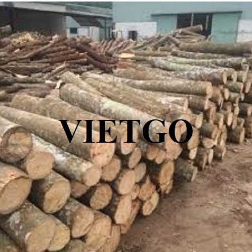 Cơ hội xuất khẩu củi gỗ bạch đàn sang thị trường Israel