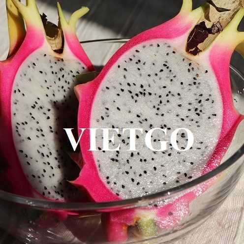 Thương vụ hợp tác xuất khẩu thanh long sang thị trường Dubai