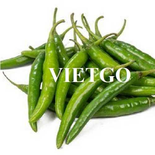 Cơ hội hợp tác xuất khẩu ớt với vị khách hàng đến từ Estonia