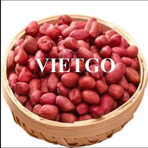 Thương vụ xuất khẩu lạc sang thị trường Ecuador