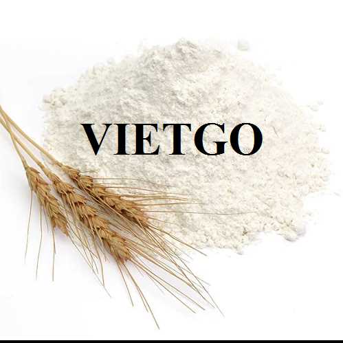 Cơ hội hợp tác xuất khẩu bột mì sang thị trường Qatar