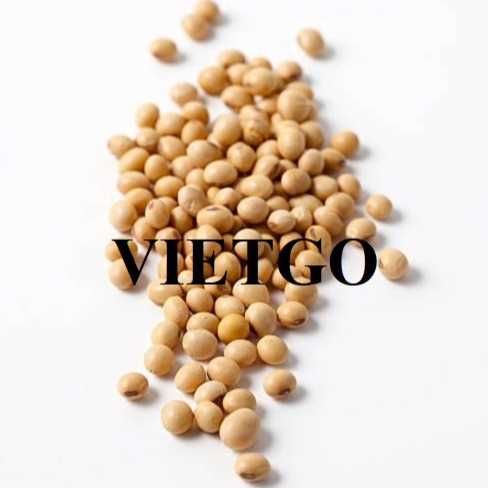 Thương vụ hợp tác xuất khẩu đậu nành tới thị trường Trung Quốc