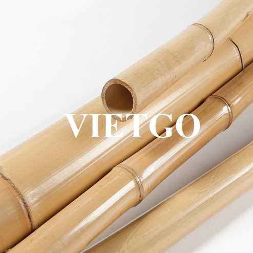 Cơ hội xuất khẩu gậy tre sang thị trường Ấn Độ