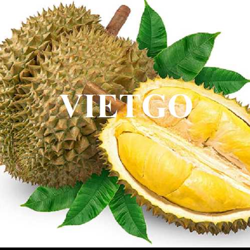 Thương vụ xuất khẩu sầu riêng sang thị trường Trung Quốc