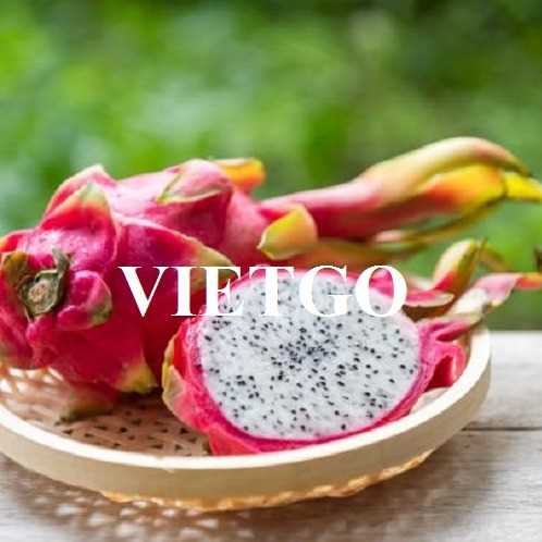 Cơ hội hợp tác xuất khẩu thanh long sang thị trường Thái Lan