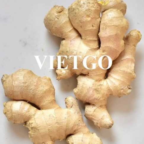 Cơ hội xuất khẩu gừng đến thị trường Bangladesh