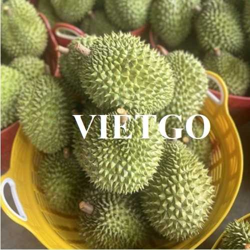 Cơ hội hợp tác xuất khẩu sầu riêng đến thị trường Trung Quốc