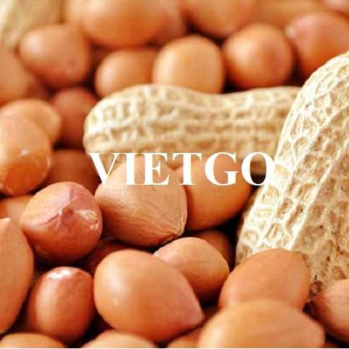 Cơ hội hợp tác xuất khẩu lạc sang thị trường Trung Quốc