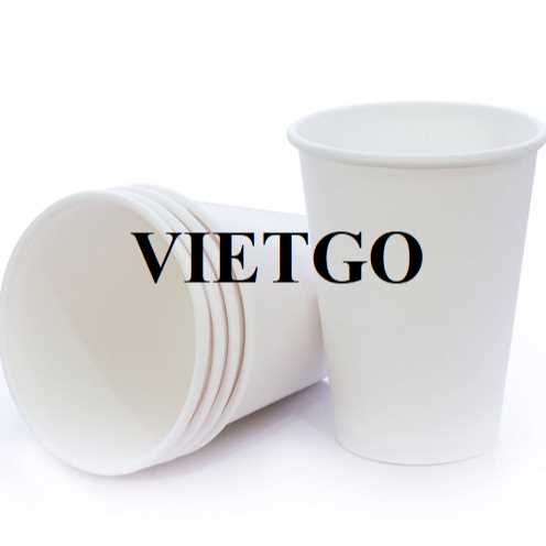 Thương vụ xuất khẩu cốc giấy sang thị trường Úc