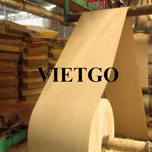 Thương vụ xuất khẩu giấy kraft sang thị trường Ấn Độ