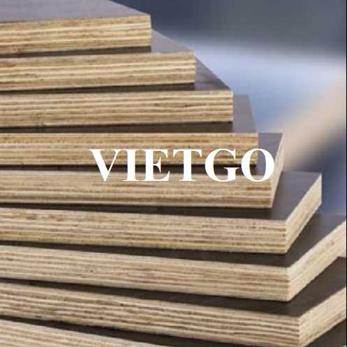Thương vụ xuất khẩu gỗ dán phủ phim sang thị trường UAE