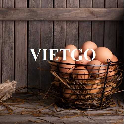 Cơ hội hợp tác xuất khẩu trứng cùng vị khách hàng đến từ Togo