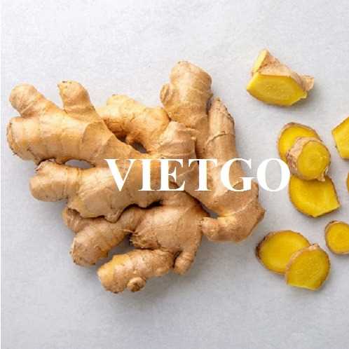 Cơ hội cung cấp mặt hàng gừng tươi sang thị trường Ấn Độ