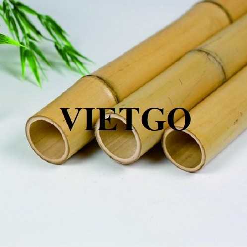 Cơ hội xuất khẩu gậy tre sang thị trường Ấn Độ