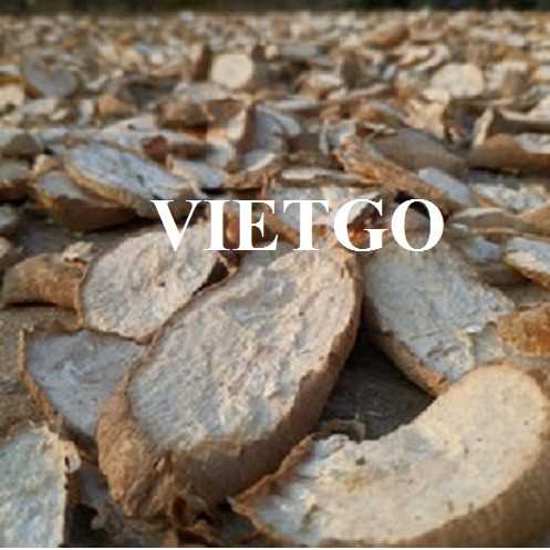 Thương vụ hợp tác xuất khẩu sắn lát số lượng lớn sang thị trường Trung Quốc