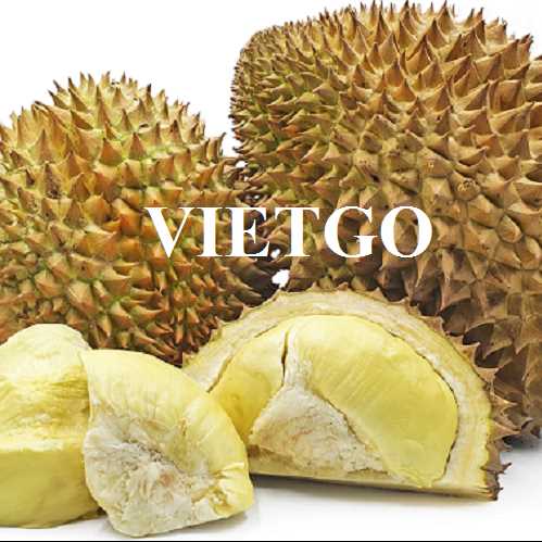 Cơ hội hợp tác xuất khẩu sản phẩm sầu riêng đến thị trường Trung Quốc