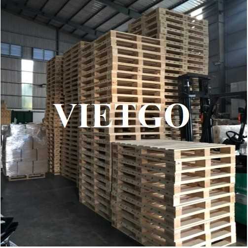 Thương vụ xuất khẩu pallet gỗ sang thị trường Saudi Arabia