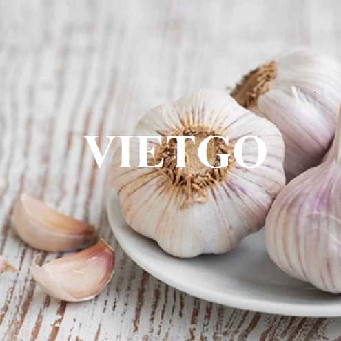 Cơ hội giao thương xuất khẩu sản phẩm tỏi trắng đến thị trường Ấn Độ